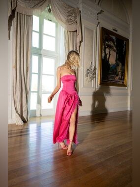 WeWoreWhat Corset Feathered Gown